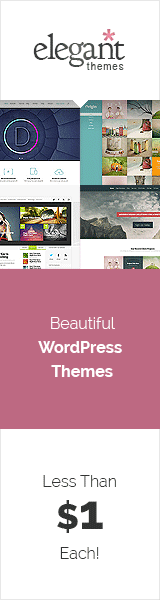Customized Premium WordPress theme from Elegant Themes 2