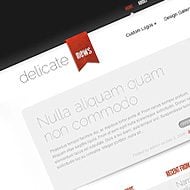 New Theme: DelicateNews