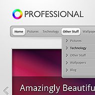 NewTheme: TheProfessional