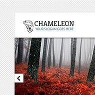 Theme Sneak Peek: Chameleon
