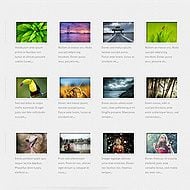 Portfolio Template Added to All Themes