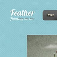 Theme Sneak Peek: Feather