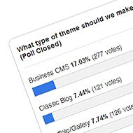 Theme Vote Poll Results