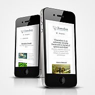 Chameleon Now Fully Responsive