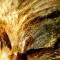 Etiam placerat ipsum porttitor ipsum