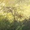 Consequat ut lacus tempus a ipsum Amet proin ligula pretium Amet proin ligula pretium