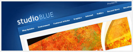 Premium Wordpress Theme