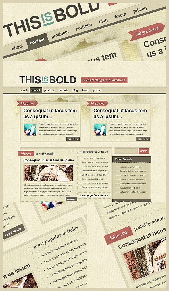 bold-1.jpg