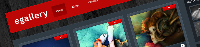 egallery 1