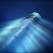 Urna eget erat non purus