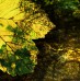 Etiam placerat ipsum porttitor ipsum