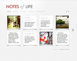 dailynotes theme