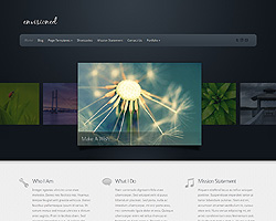 envisioned theme