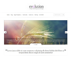 evolution theme