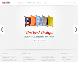leanbiz theme