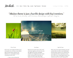 modest theme