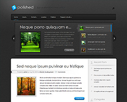 polished theme
