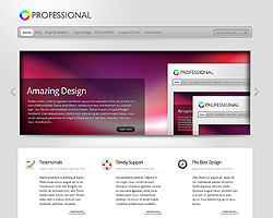 theprofessional theme