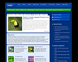 tidalforce theme