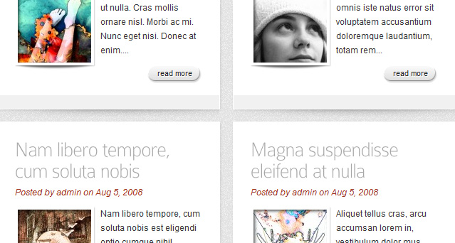 http://www.elegantthemes.com/img/screens/glider/slider_3.jpg