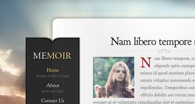 http://www.elegantthemes.com/img/screens/memoir/slider_4.jpg