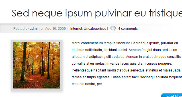 http://www.elegantthemes.com/img/screens/polished/slider_3.jpg