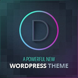 Divi Theme Ad