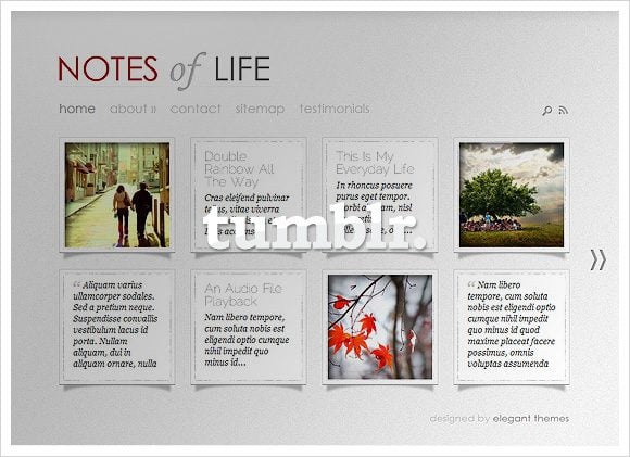 Dailynotes Now On Tumblr Elegant Themes Blog