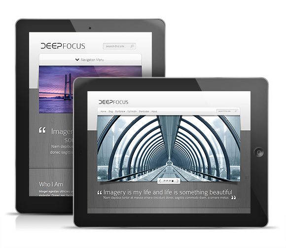 elegant themes deepfocus slider elegant themes deepfocus slider