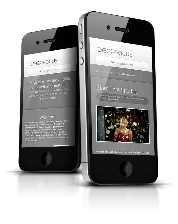 elegant themes deepfocus slider elegant themes deepfocus slider