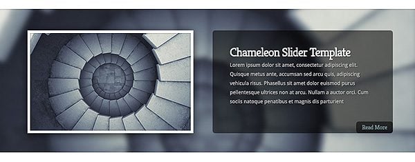 Take Chameleon To The Next Level With These Eight Perfectly-Sized Slider Templates