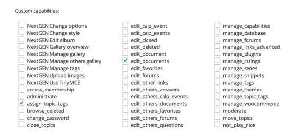 User Role Custom Capabilities