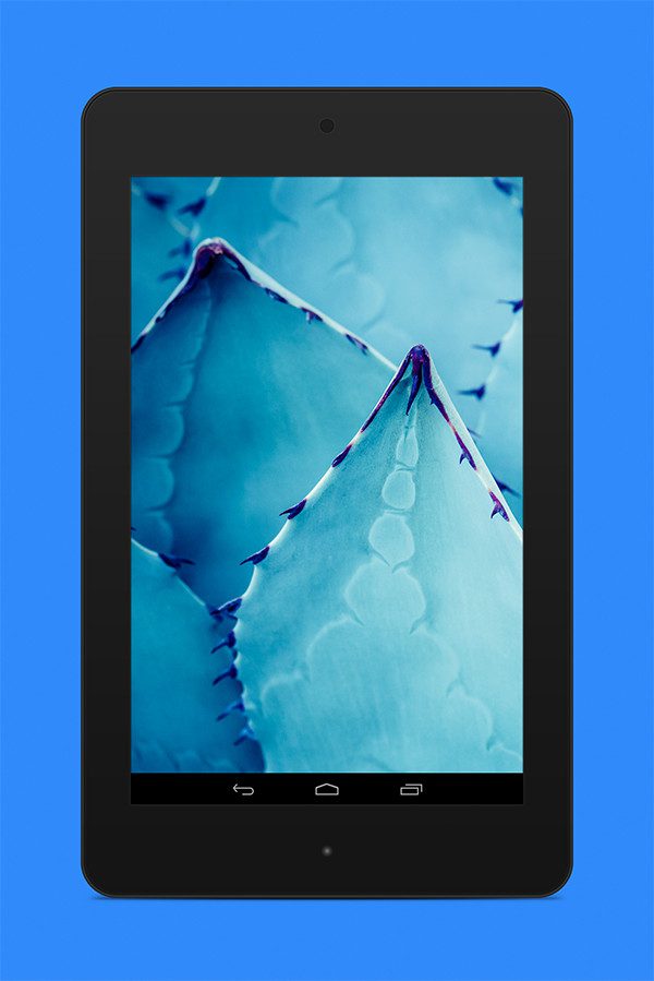 Nexus7-ex7