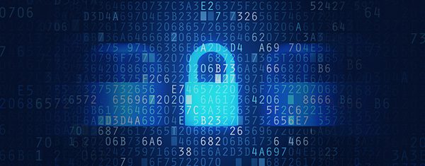 Download Oh Sh*#! What to Do When Your WordPress Website Has Been Hacked | Elegant Themes Blog