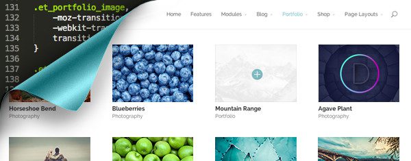 CSS Tricks For Your Divi Theme Project And Product Thumbnails