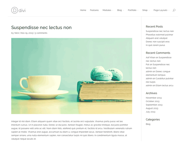 Divi WordPress Theme