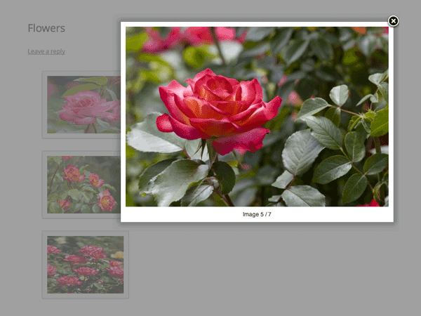 Gallery Lightbox Example
