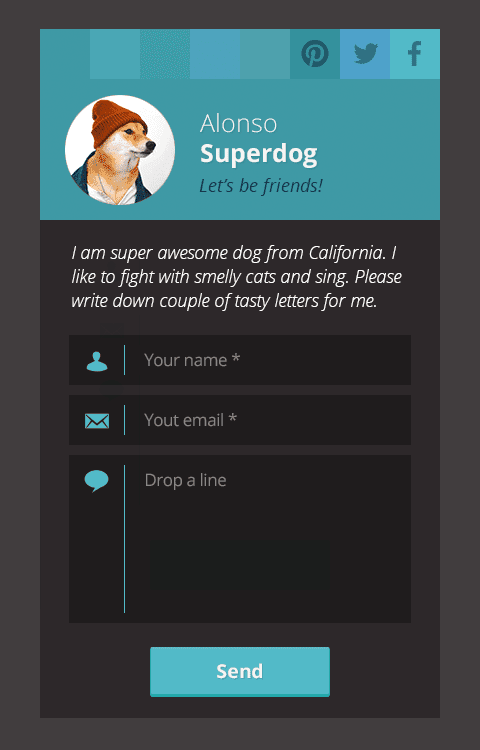 Ninja Kick Sidebar Contact Form