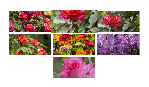 Photo Gallery Thumbnails