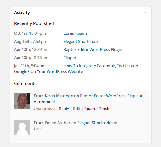 WordPress Activity