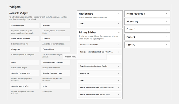 WordPress Widgets