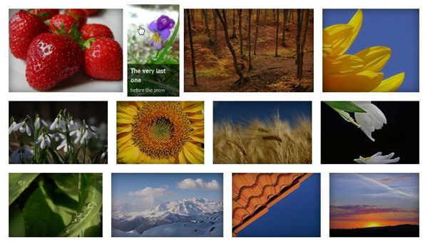 Justified Image Grid