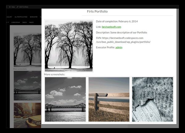 Portfolio
