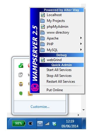 Left Click Wamp Icon