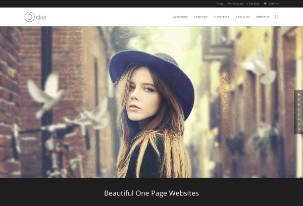 Divi 1 One Page One Page Layouts On Divi Theme Layouts
