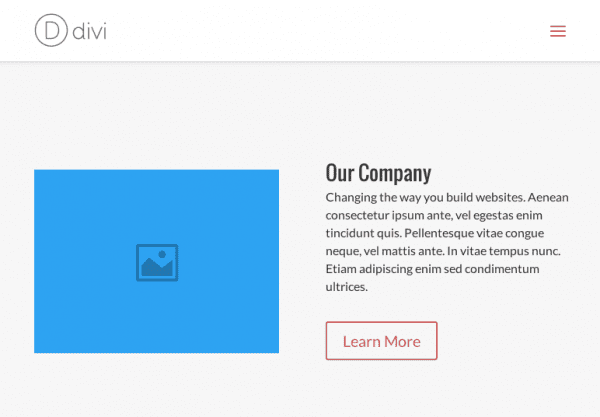 Divi Company layout