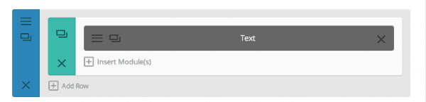 Divi Text Module
