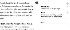 An example of inline comments