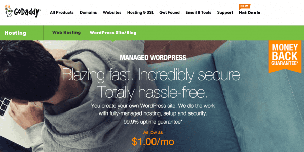 GoDaddy Managed WordPress Hosting