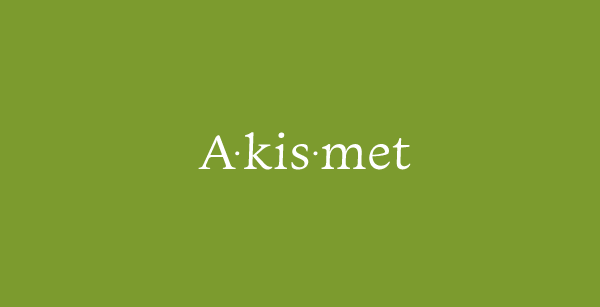 The Akismet Plugin for WP